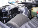 11079.webp
