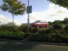 meggy_2.webp