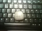 DSC00065.webp