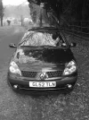 DSC00116.webp