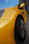 196412153-L[1].webp
