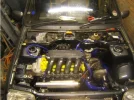 in.webp