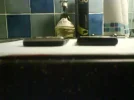 DSC00063.webp