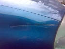 wing.webp