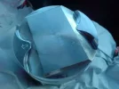 phpkX1VLEPM.webp