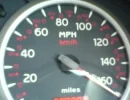 speedo.webp