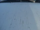 DSC01757.webp