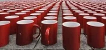 172 cups.webp