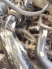 20171126_141802.jpg