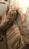 42070FAA-AE9D-4E6C-B925-7C99B7497E1B.webp