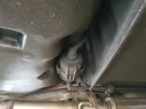 20180116_122134.webp