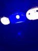IMG_0120.jpeg