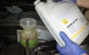 How-to-check-and-change-engine-coolant.jpg