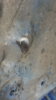 20180311_125752.jpg