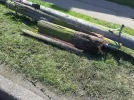 Telegraph pole.webp