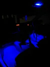 WhatsApp Image 2018-04-21 at 01.29.53.webp WhatsApp Image 2018-04-21 at 01.29.53.webp
