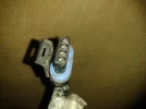 PRE CAT LOOM PLUG.webp