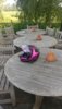 IMG-20180606-WA0016.jpeg