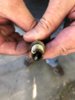 IMG-20180917-WA0001.jpg