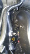 20170219_115231.webp