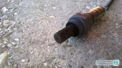 wvKZdc8j.webp