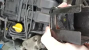 Clio Plug & Cover 3.webp