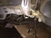 DBDB5388-192D-4C17-82B9-59805D136CFB.jpeg