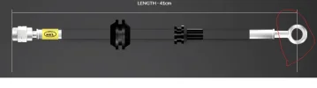 banjo.webp