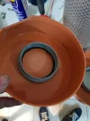 8ywqbFZ.webp