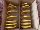 Trophy Eibach Spring 011.webp