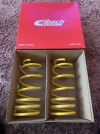 Trophy Eibach Spring 012.webp