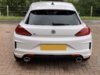 Rocco 004.JPG