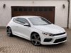 Rocco 013.JPG