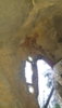 20190706_114903.jpg