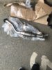 CDB98EDA-E5D4-4945-9A62-373680A35E25.jpeg