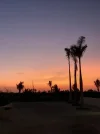20190904_192250.webp