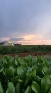 20190914_185111.webp