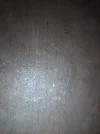 74594580_1168842796642845_3740675683114811392_n.webp