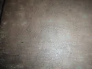 75336319_474387816510679_1585863575367319552_n.webp