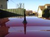Car pics 036 (Small).jpg