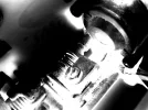 untitled.webp