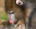 20080210_2899.webp