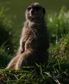 20080210_2930.webp