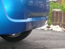 DSCF0714.webp