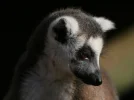 20080210_2988.webp