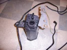 SSA50984 (Large).webp