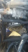 16427347_10210711994488958_1766477179624882236_n.webp