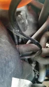20170418_151732.webp