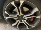 IMG_2430.webp