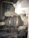 IMG_0371.webp IMG_0371.webp